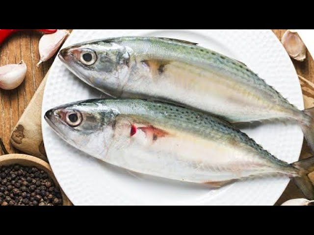 Surma Fish(সুরমা ফিশ)